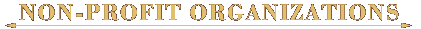NON-PROFIT ORGANIZATIONS